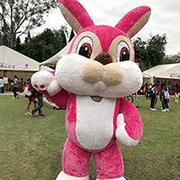 Â¯Â»Â¬ÃµÂ¨ÃÂ¤l Pink Rabbit Mascot