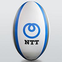 NTTÃVÂ²y NTT Rugby (2019)