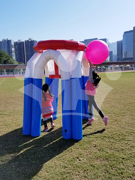 IMAGE_DESC_TAG