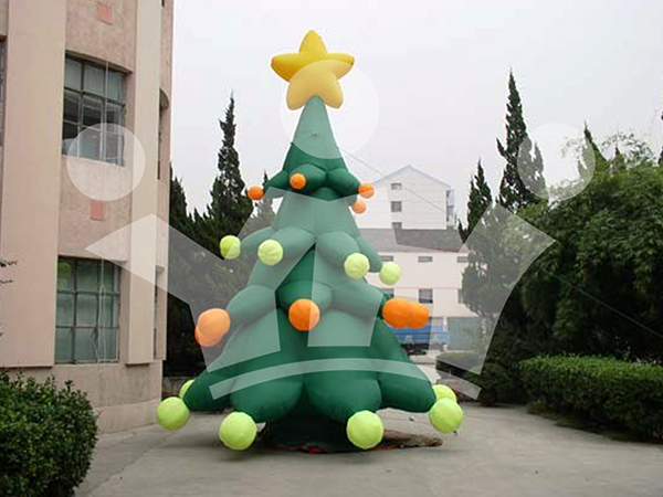 IMAGE_DESC_TAG