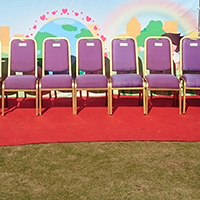 Â¹ÃÂ»Â«Â´Ã VIP Chair