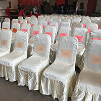 Â¹ÃÂ»Â«Â´ÃÂ®M VIP Chair Cover