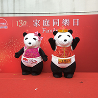 吹氣熊貓吉祥物(由客戶提供)扮演服務