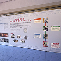 20呎 x 8呎高背景板 20ft x 8ftH Foamboard Backdrop
