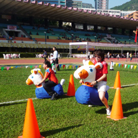 Â¸ÃµÂ¸ÃµÂ°Â¨Jumping Horse