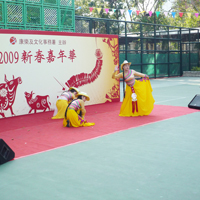 舞蹈表演 Dancing Performance - 04